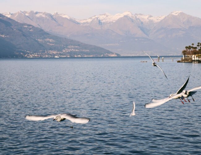 Como, Bellagio e Brunate