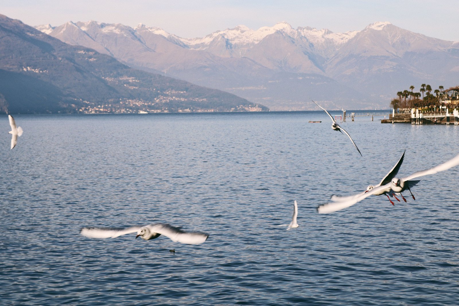 Como, Bellagio e Brunate
