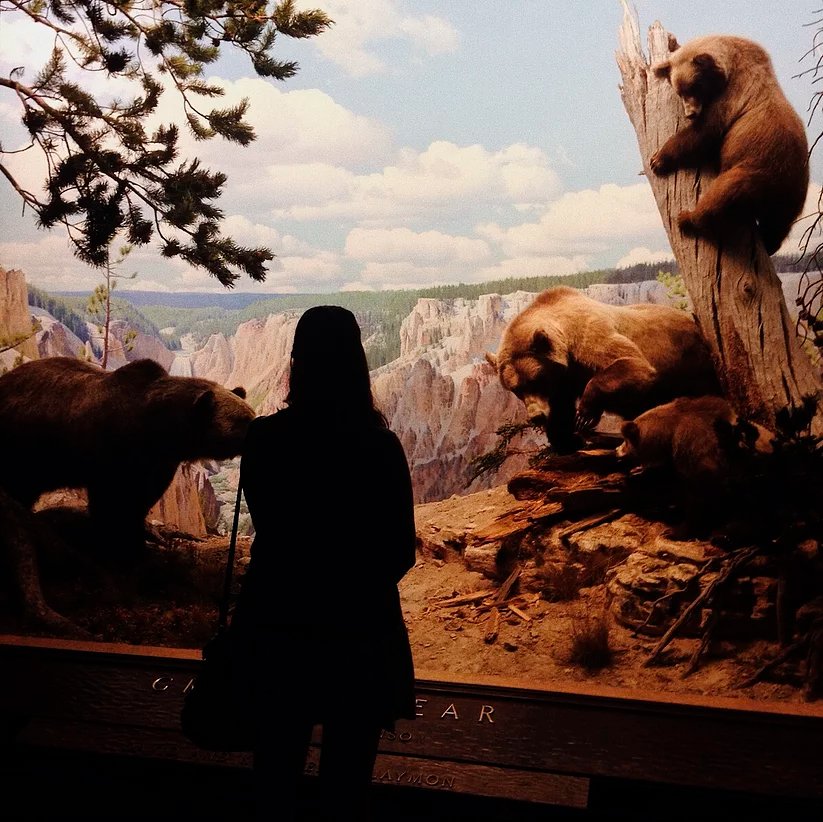 Nova York - Roteiro Completo - Museu de História Natural