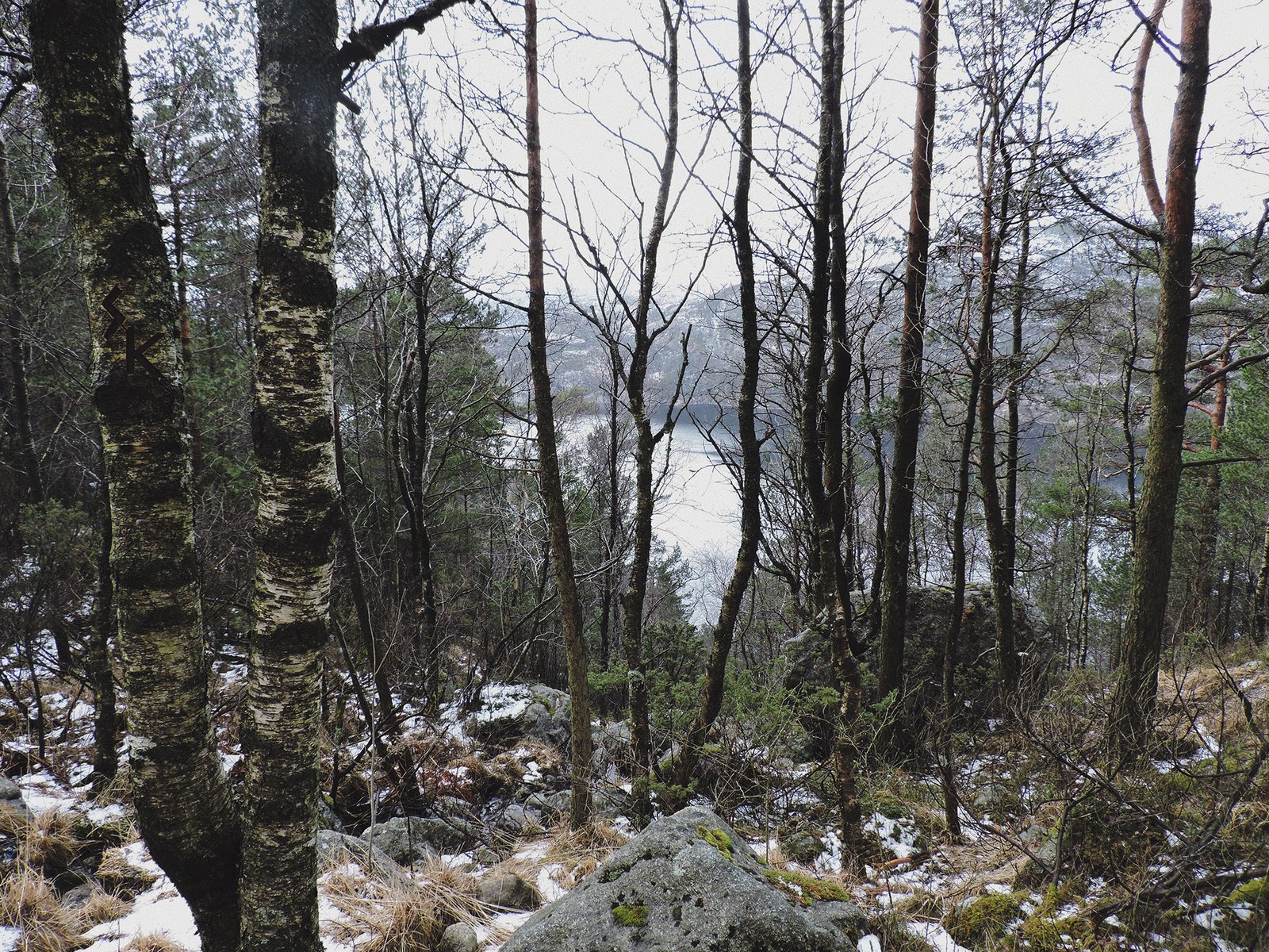 Preikestolen, Noruega - Trilha entre bosques e lagos
