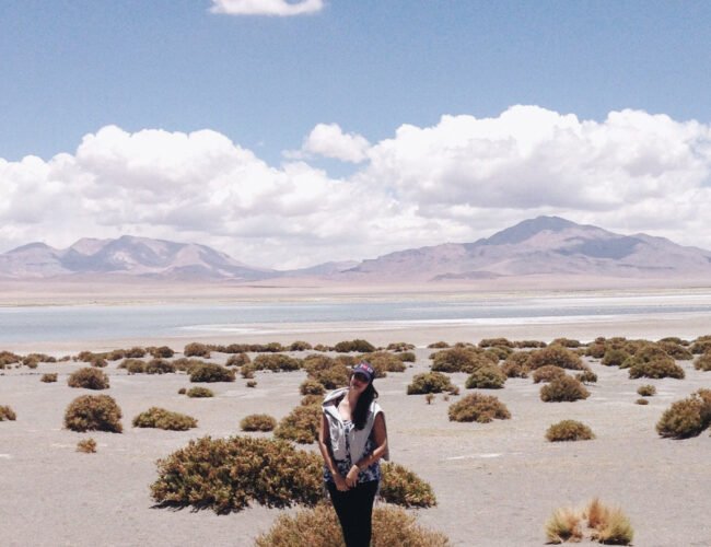 Roteiro Deserto Atacama Salar de Tara