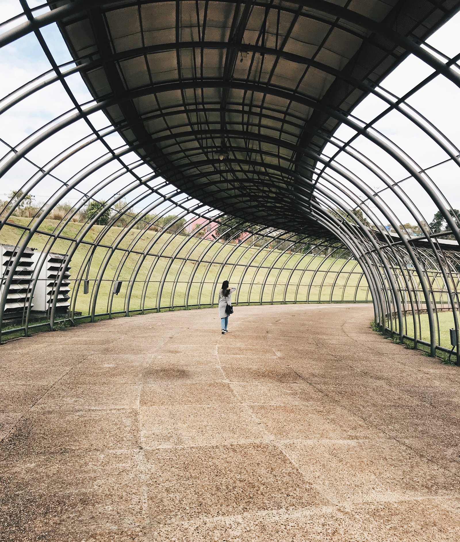 Caminhos no Jardim Botânico