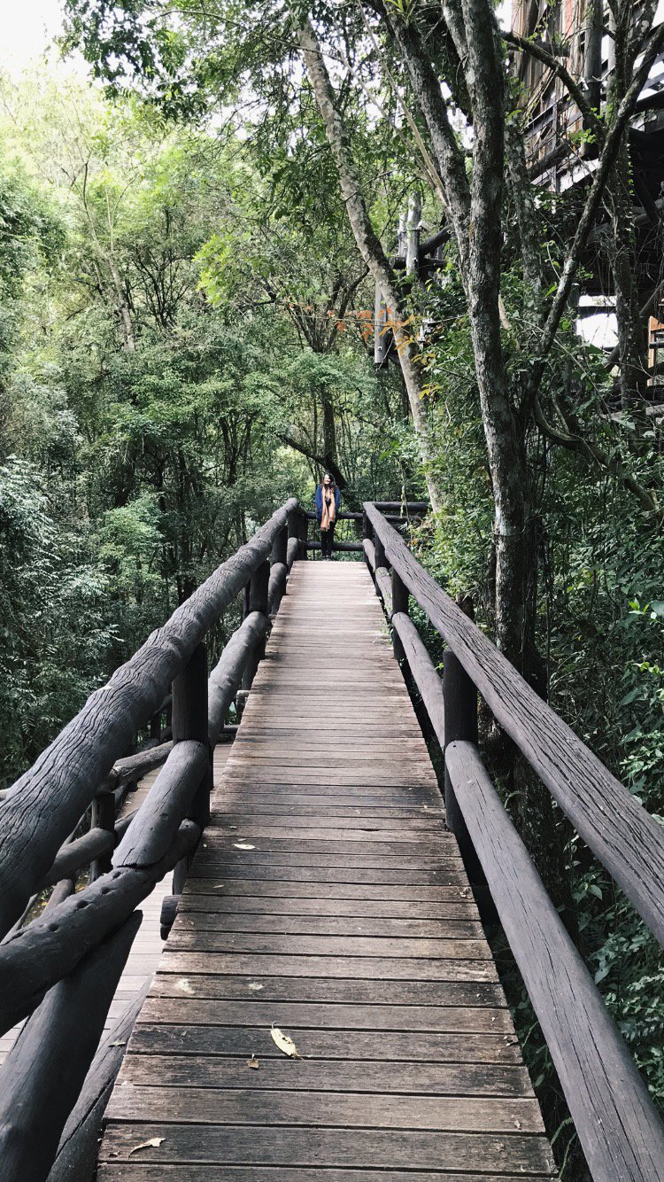 Passarelas da Unilivre