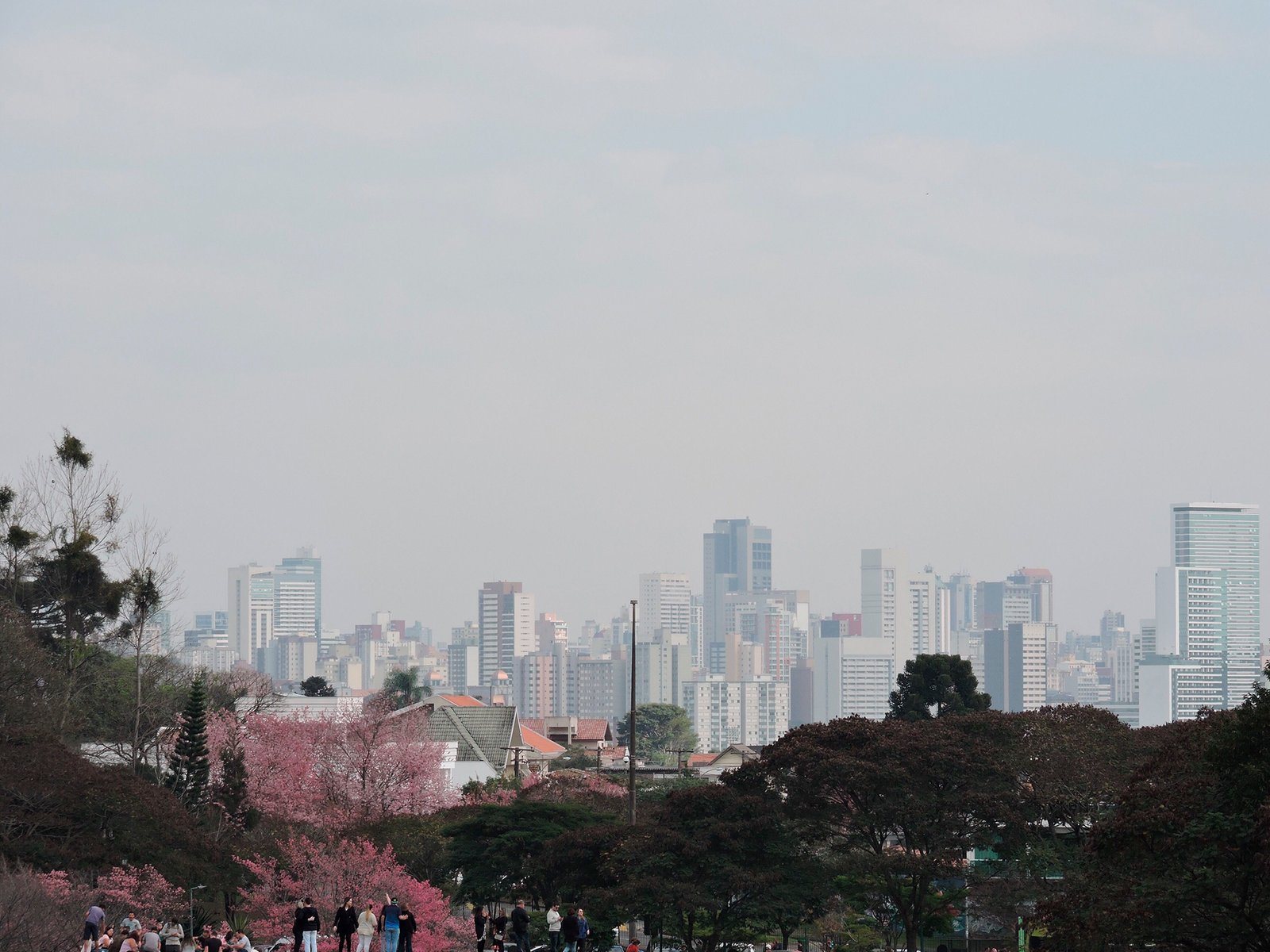 Vista Panorâmica - Curitiba
