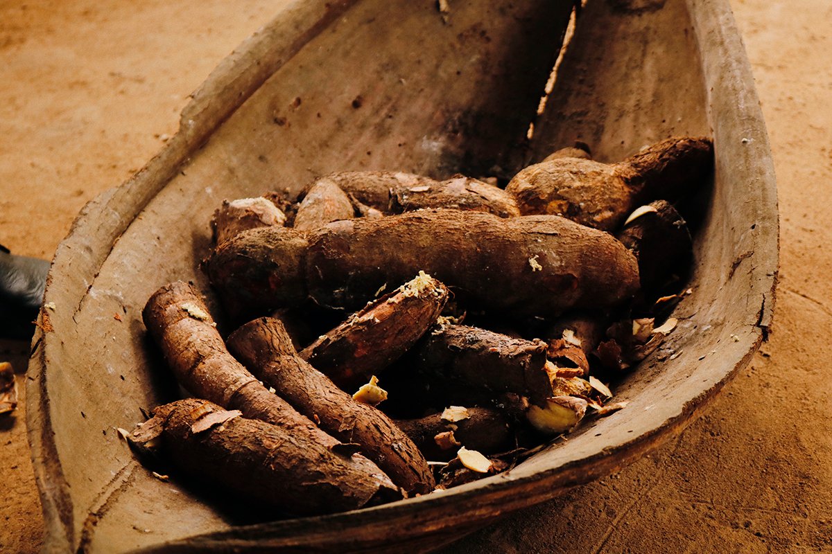 Mandioca na casa do caboclo