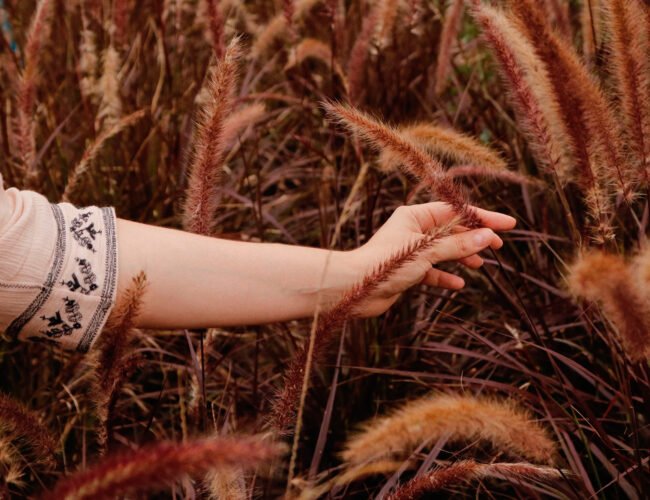 Mapa Astral e Autoconhecimento