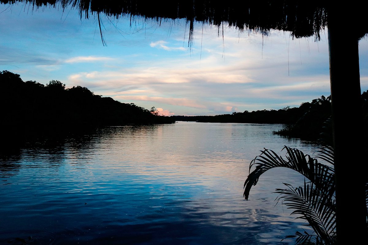 O braço do Rio Negro visto de nosso hotel de selva