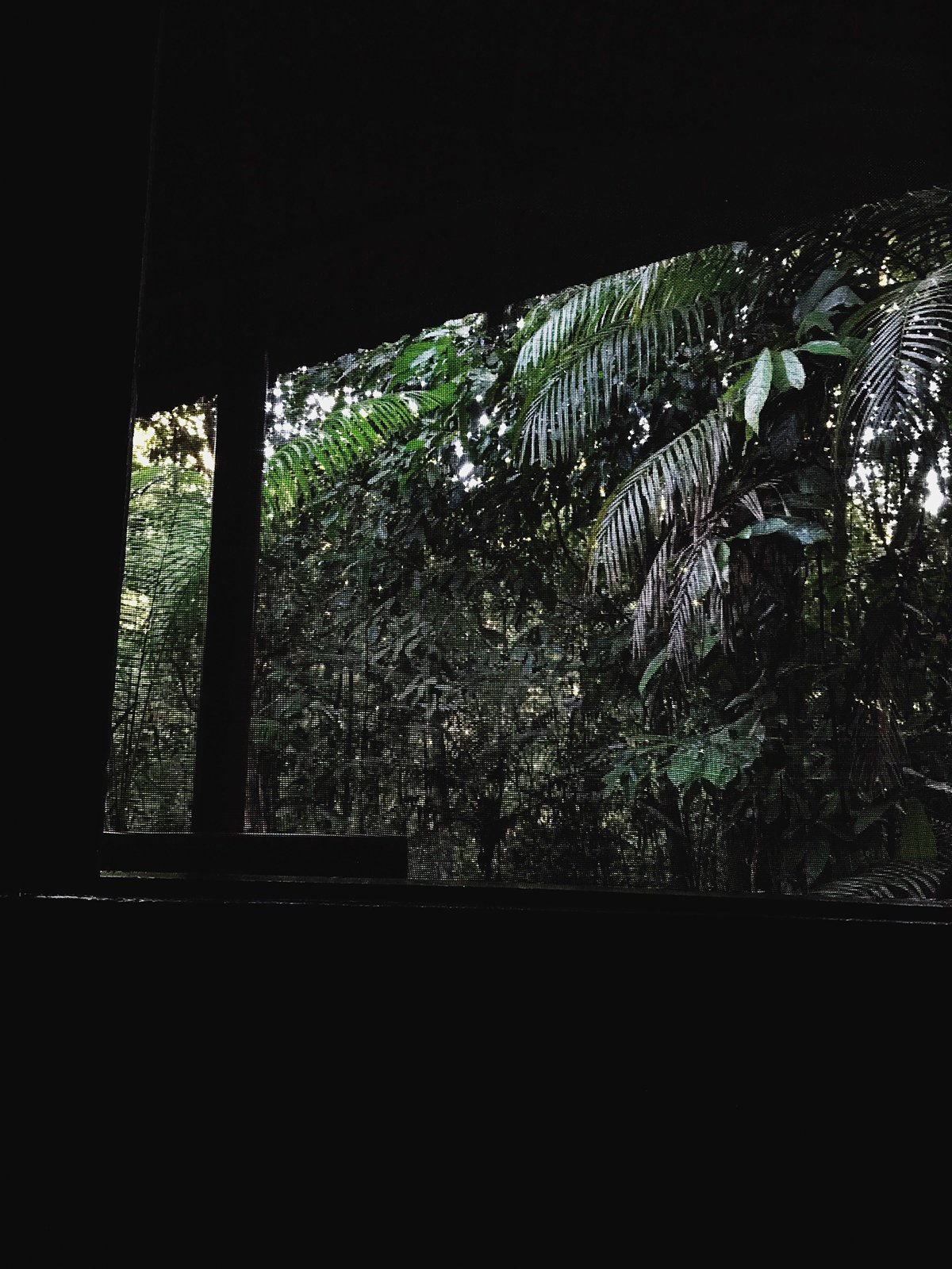 Hotel de Selva - Vista da janela do quarto