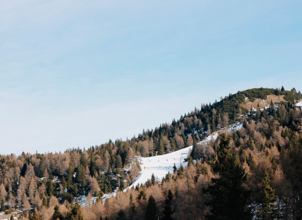Pista de ski em meio ao bosque