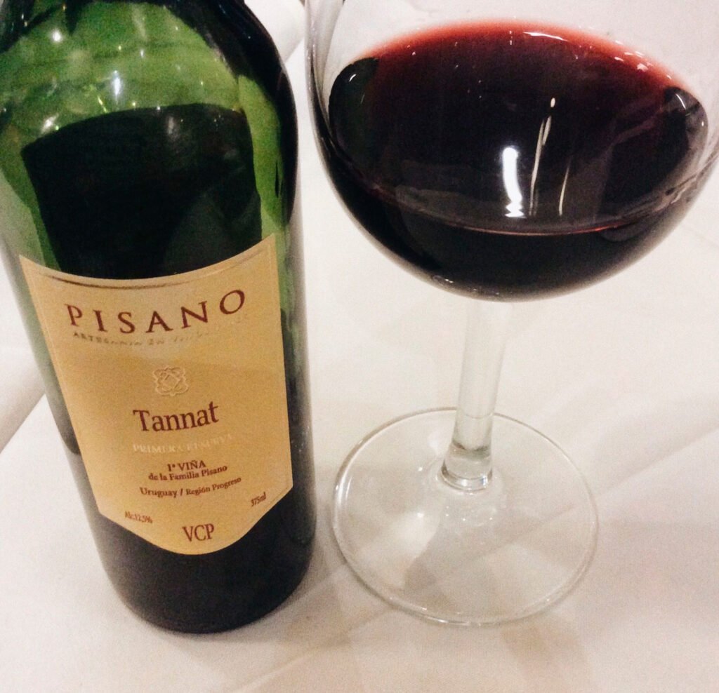 vinho tannat uruguai