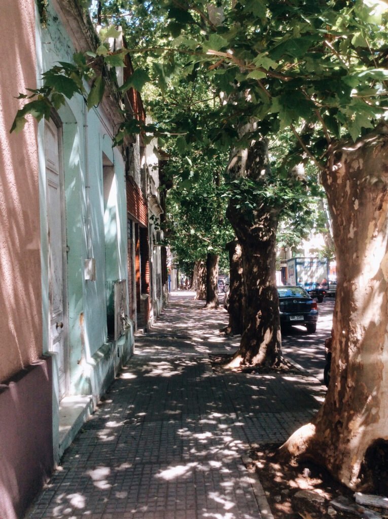 ruas de montevideo