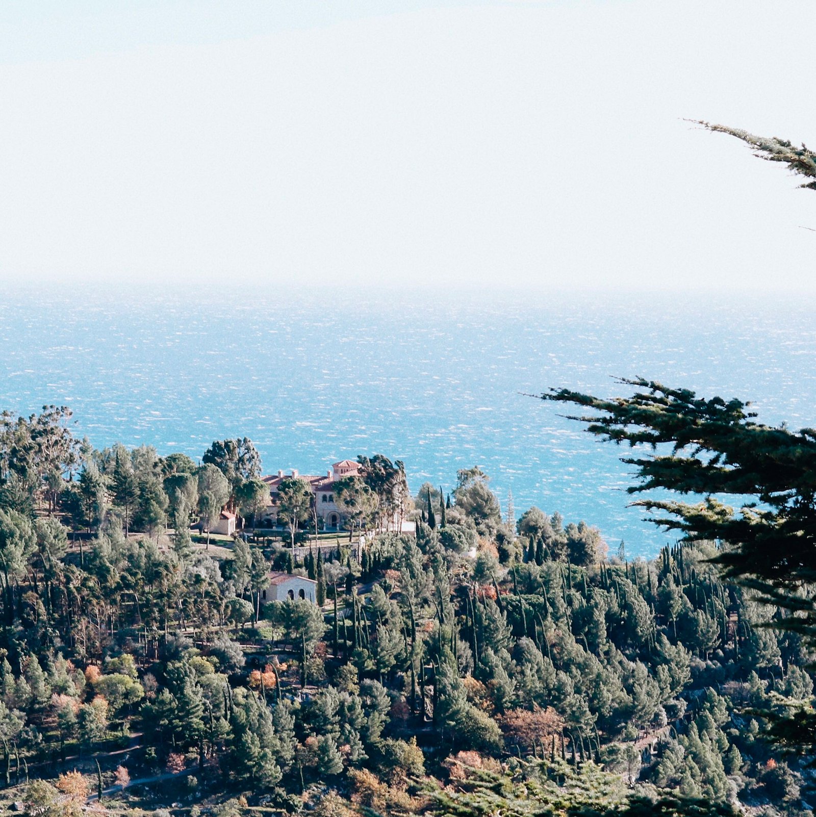 Árvores e a vista para o mar