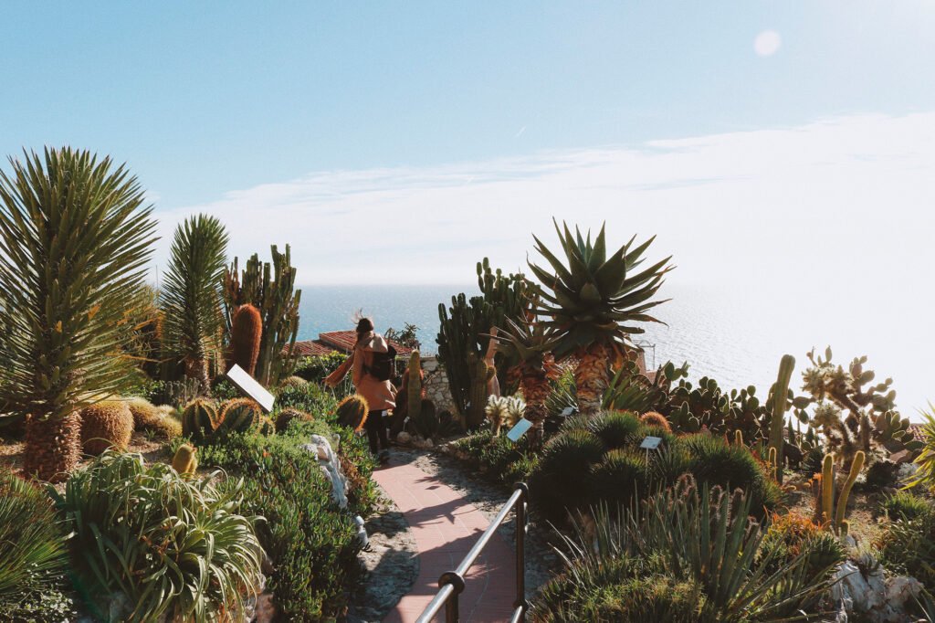 Eu no jardim ao alto do penhasco