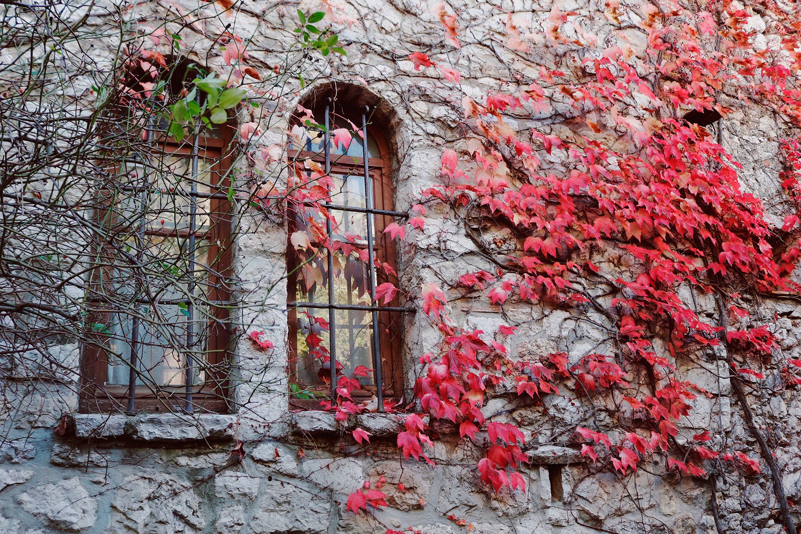 Flores sobre construções de pedra
