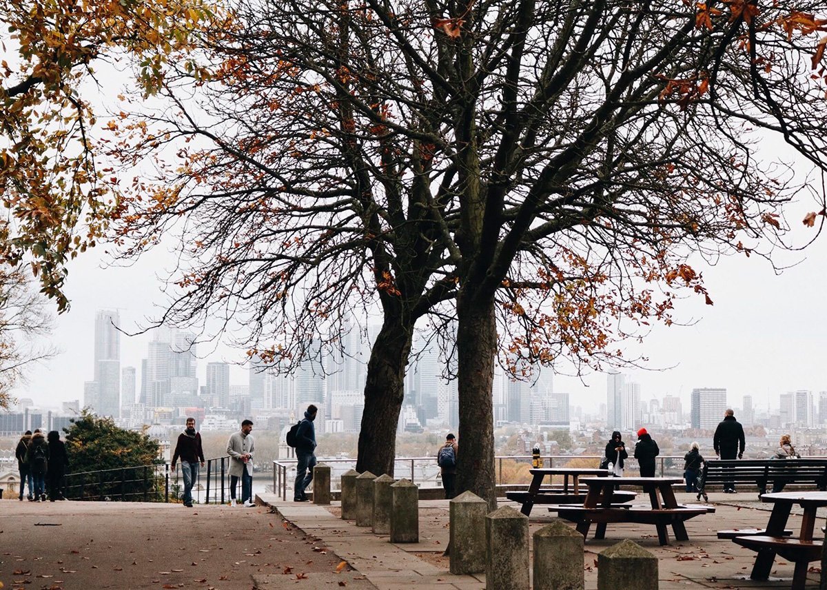 Greenwick Park vista