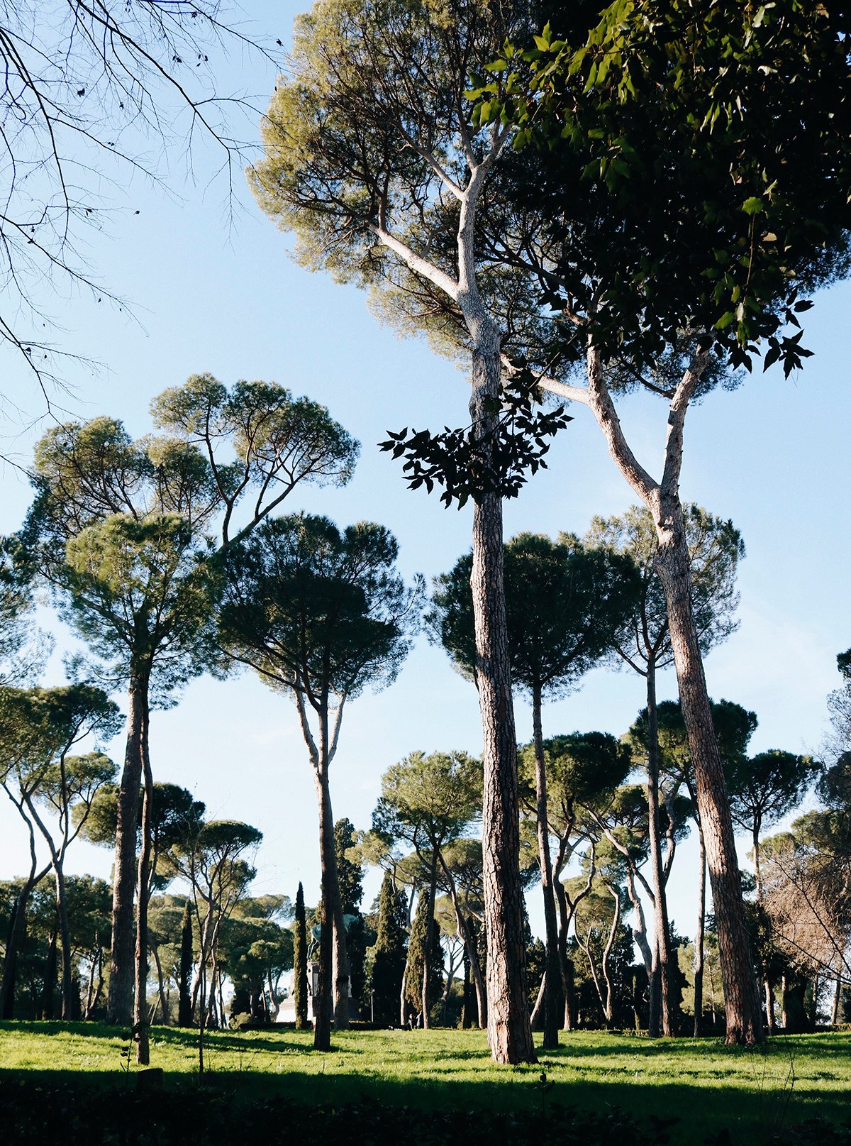 A Villa Borghese e a Piazza del Popolo - flanando em Roma