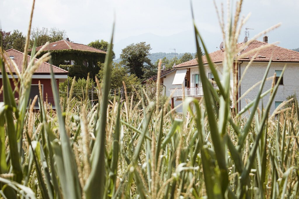 O que fazer em Avigliana, no Piemonte