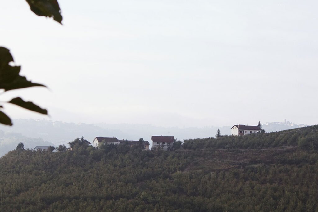 Langhe-Roero e Monferrato