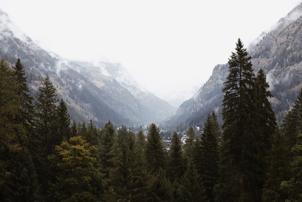 Valle d'Aosta - Pinheiros e montanhas nevadas